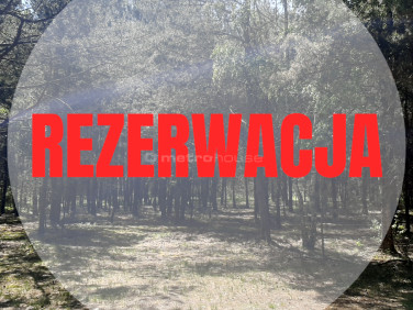 Działka leśna Wólka Kościeniewicka sprzedam