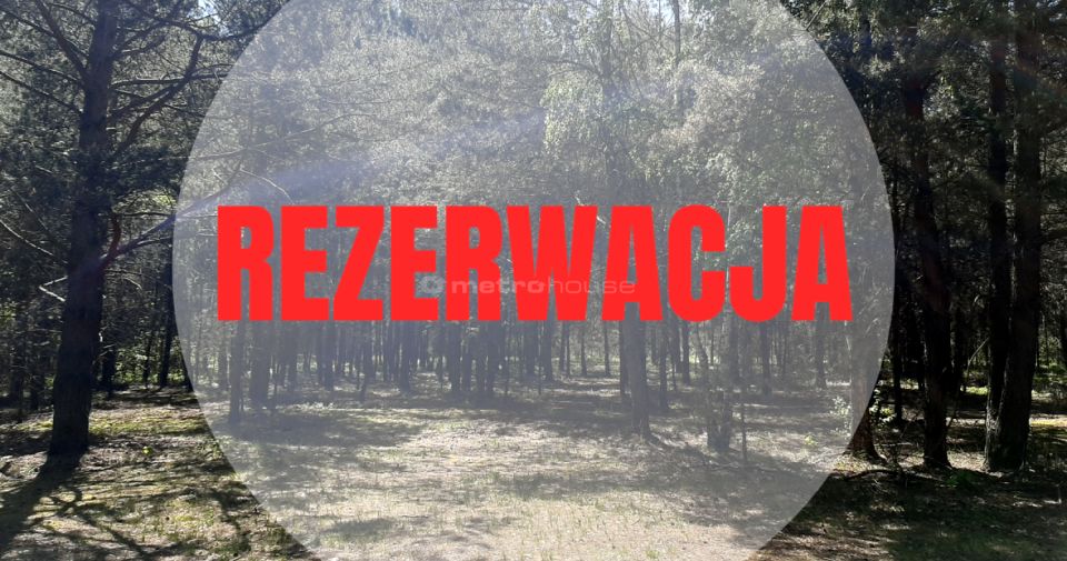 Działka leśna Wólka Kościeniewicka sprzedam