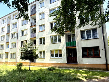 Mieszkanie Zabrze