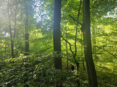 Działka Józefów