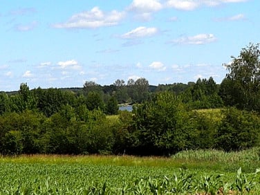 Działka Rożyńsk Wielki