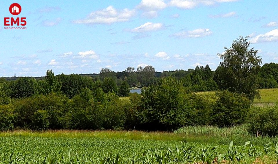 Działka Rożyńsk Wielki