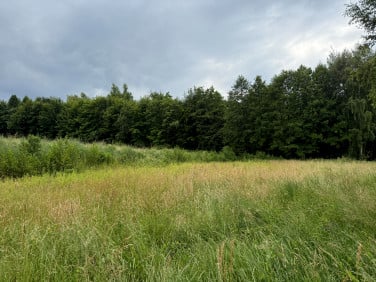 Działka budowlana Pawlikowice