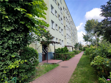 Mieszkanie Grodzisk Mazowiecki