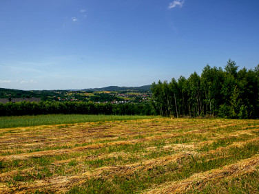 Działka Gromnik