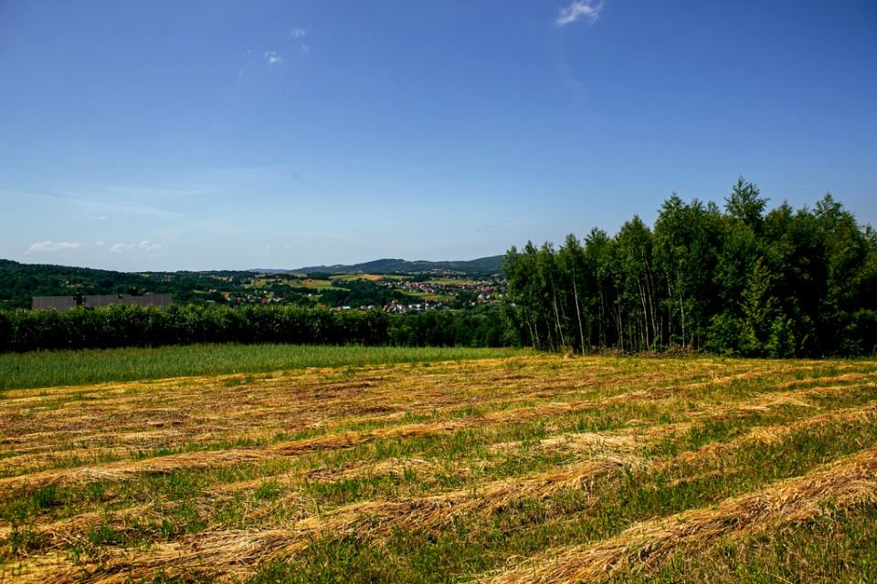 Działka Gromnik
