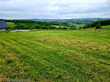 Działka rekreacyjna Kozierów