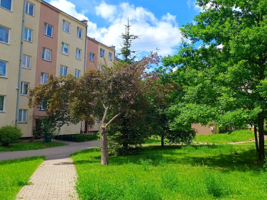 Mieszkanie KIELCE