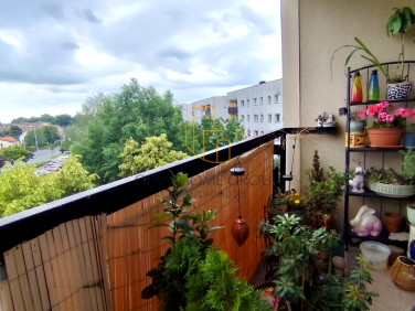 Mieszkanie Wrocław