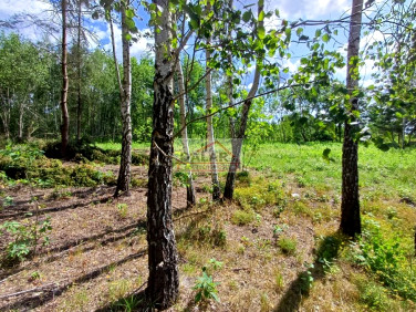 Działka Kędzierówka