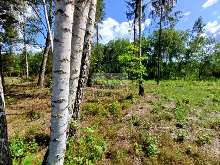 Działka Kędzierówka