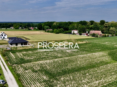 Działka siedliskowa Siekierowice