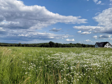 Działka budowlana Husów