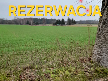 Działka budowlano-rolna Widawa sprzedam