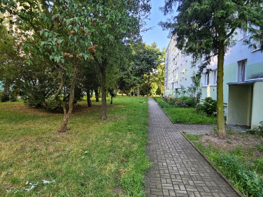 Mieszkanie Łódź