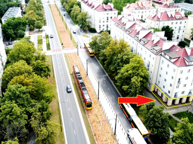 Lokal Warszawa