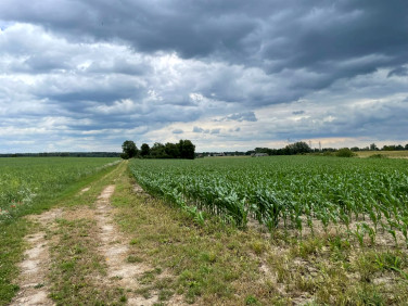 Działka budowlana Regimin