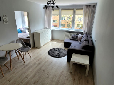 Mieszkanie Legnica wynajem