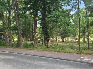 Działka Kajetany