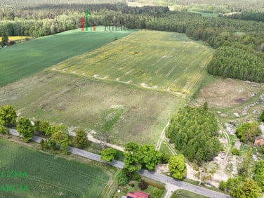 Działka Kobyle