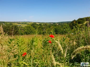 Działka budowlano-rolna Michałowice