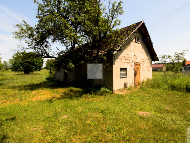Dom Miękisz Nowy