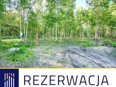 Działka Grabówka