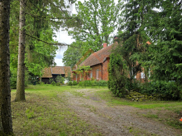 Lokal Główka