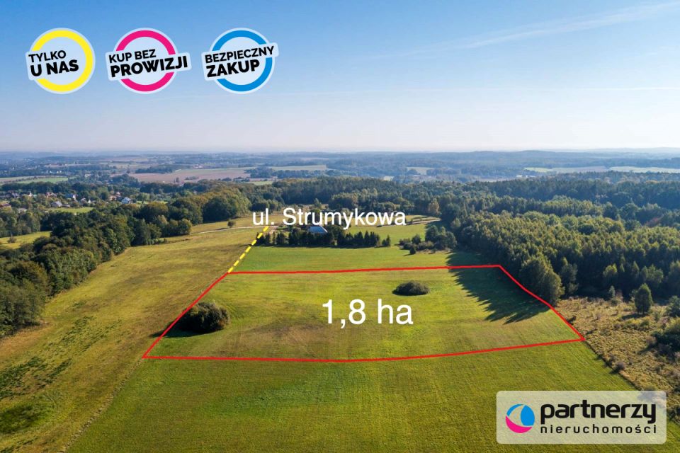 Działka Buszkowy
