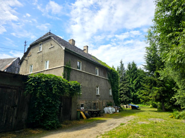 Dom Czernica