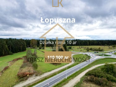 Działka Łopuszna