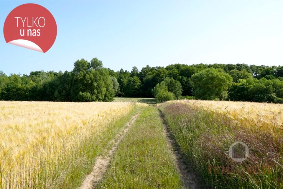 Działka budowlano-rolna Kłodawa