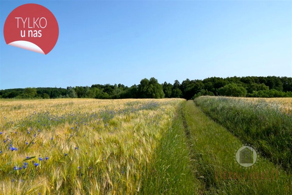 Działka budowlano-rolna Kłodawa sprzedam