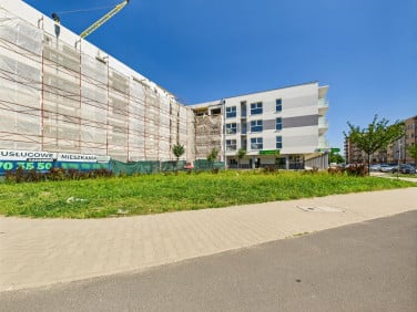 Lokal Luboń