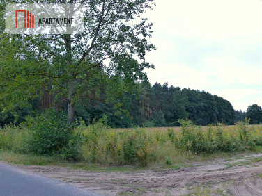 Działka Małomin