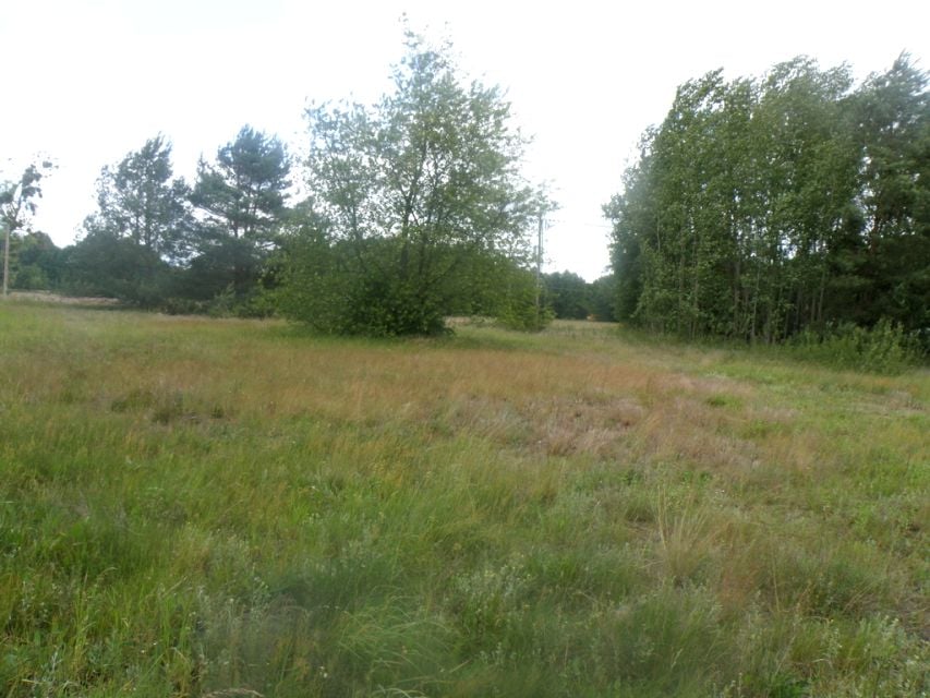 Działka budowlana sprzedam