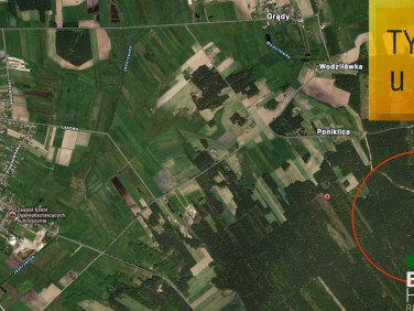 Działka leśna Poniklica sprzedam