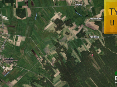 Działka leśna sprzedam