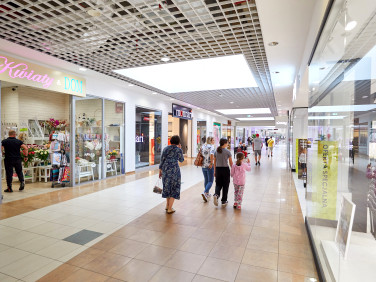 Lokal Legnica