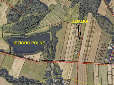 Działka budowlana Kłodawa