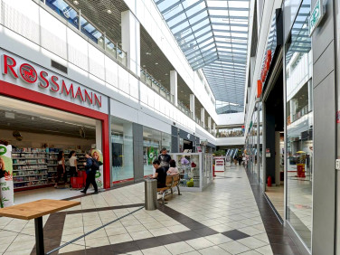 Lokal Płock wynajem