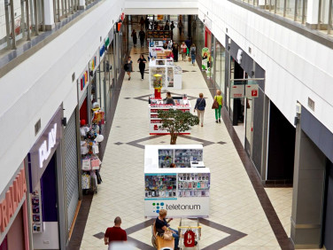 Lokal Płock