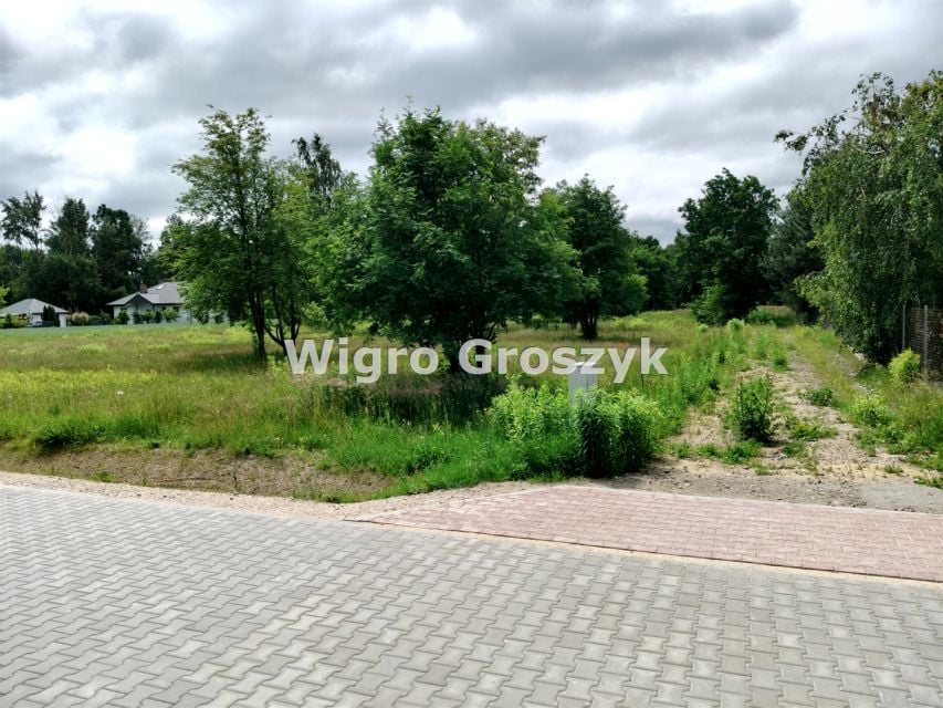 Zdjęcie 3