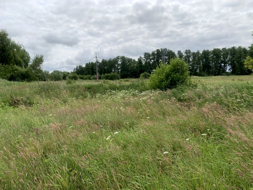 Działka Gierłatowo