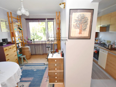 Mieszkanie Toruń