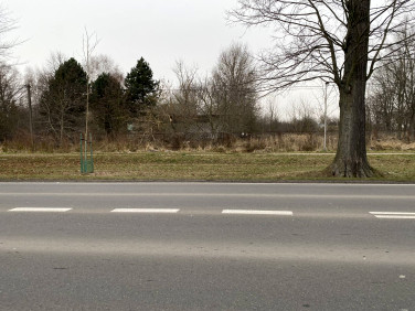 Lokal Sieradz