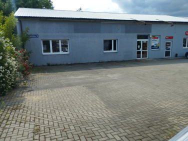 Lokal Puławy