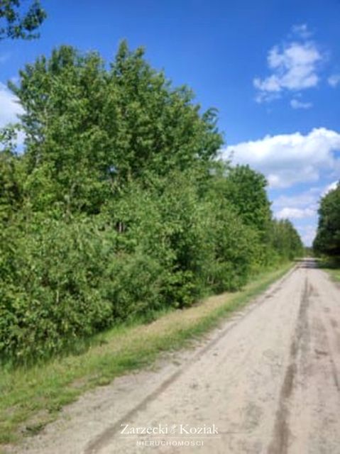 Działka siedliskowa Rudka-Kolonia