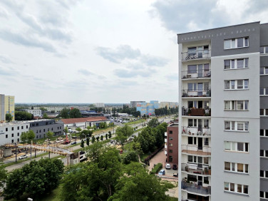 Mieszkanie Łódź