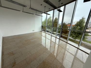 Lokal Szczecin